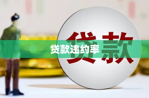耀州贷款违约率