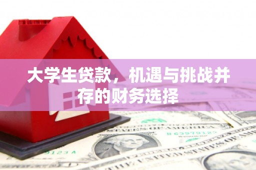 耀州大学生贷款，机遇与挑战并存的财务选择