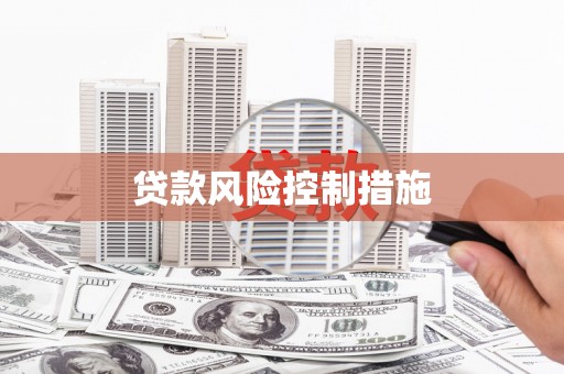 耀州贷款风险控制措施