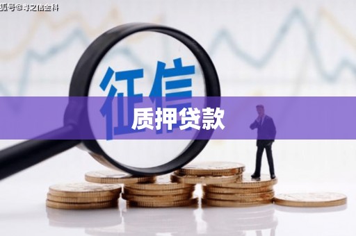 耀州质押贷款