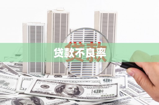耀州贷款不良率