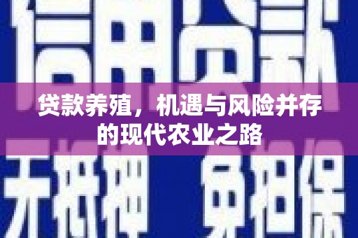耀州贷款养殖，机遇与风险并存的现代农业之路