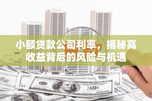 耀州小额贷款公司利率，揭秘高收益背后的风险与机遇