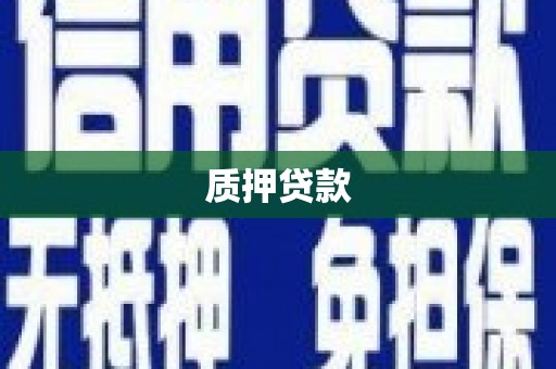 耀州质押贷款
