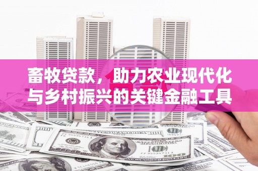 耀州畜牧贷款，助力农业现代化与乡村振兴的关键金融工具