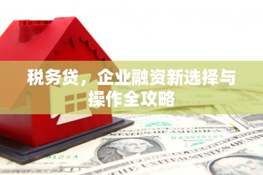 耀州税务贷，企业融资新选择与操作全攻略