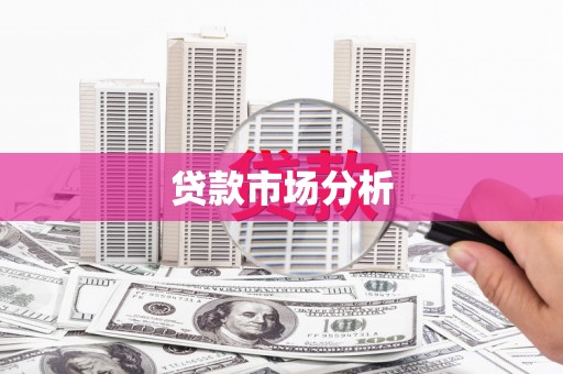 耀州贷款市场分析