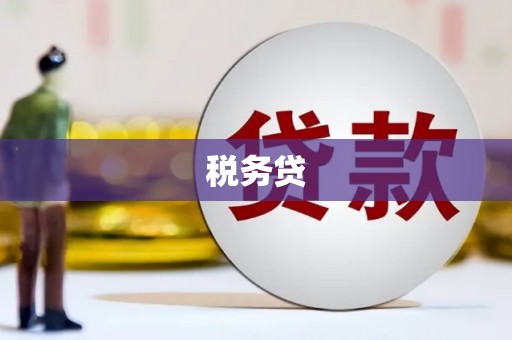 耀州税务贷