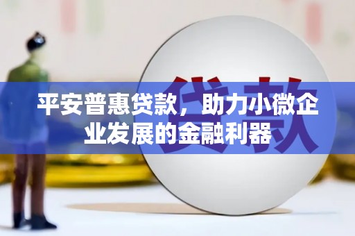 耀州平安普惠贷款，助力小微企业发展的金融利器