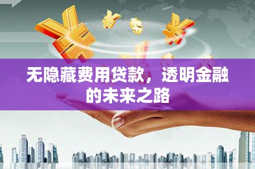 耀州无隐藏费用贷款，透明金融的未来之路