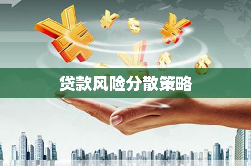 耀州贷款风险分散策略