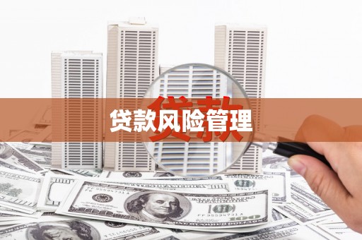耀州贷款风险管理
