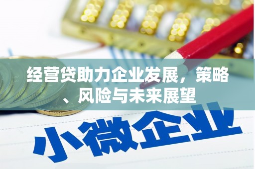 耀州经营贷助力企业发展，策略、风险与未来展望