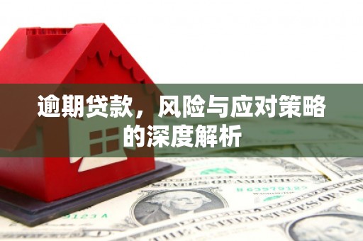 耀州逾期贷款，风险与应对策略的深度解析