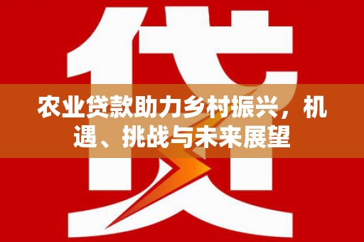 耀州农业贷款助力乡村振兴，机遇、挑战与未来展望