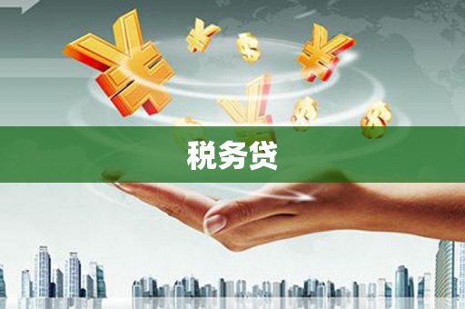 耀州税务贷