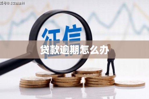 耀州贷款逾期怎么办