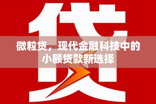 耀州微粒贷，现代金融科技中的小额贷款新选择