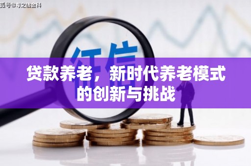 耀州贷款养老，新时代养老模式的创新与挑战