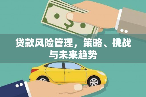 耀州贷款风险管理，策略、挑战与未来趋势