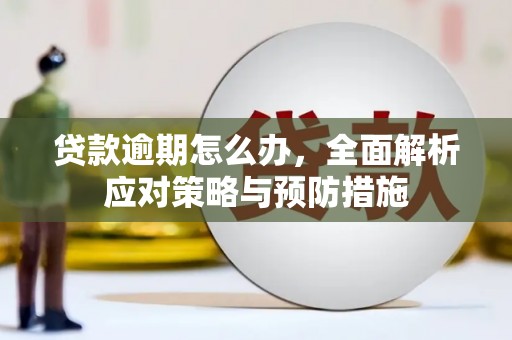 耀州贷款逾期怎么办，全面解析应对策略与预防措施