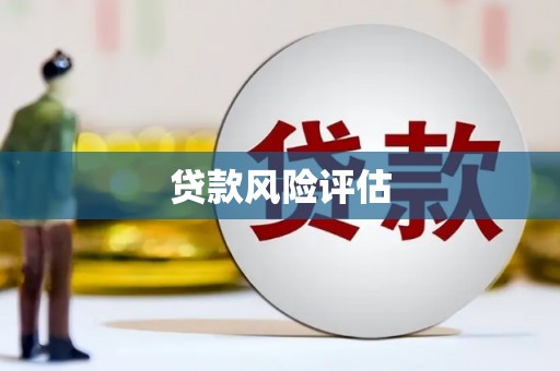 耀州贷款风险评估