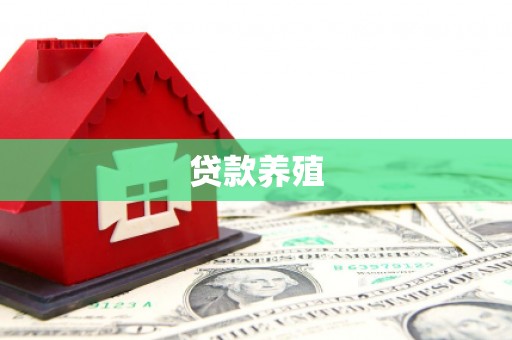 耀州贷款养殖