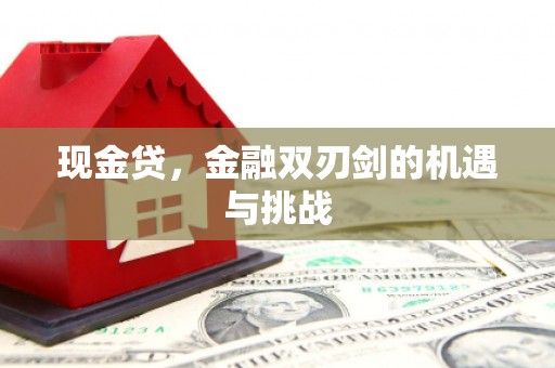 耀州现金贷，金融双刃剑的机遇与挑战