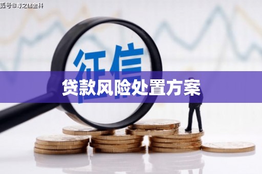 耀州贷款风险处置方案