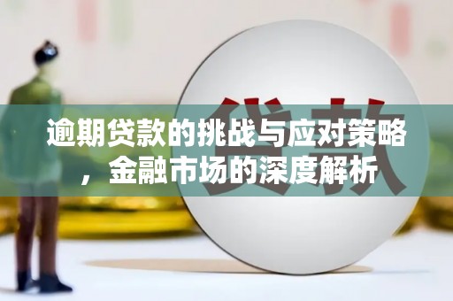耀州逾期贷款的挑战与应对策略，金融市场的深度解析
