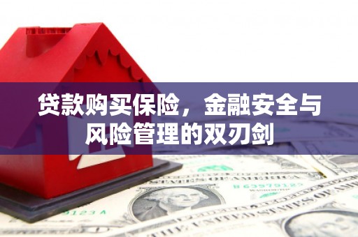 耀州贷款购买保险，金融安全与风险管理的双刃剑
