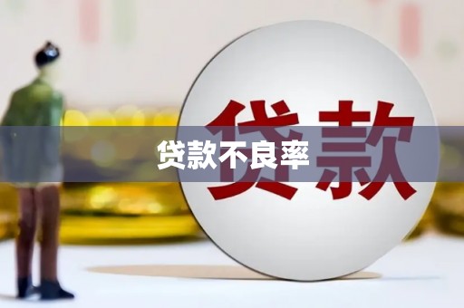耀州贷款不良率