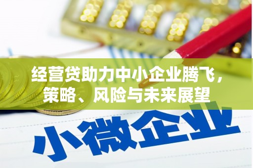 耀州经营贷助力中小企业腾飞，策略、风险与未来展望