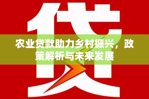 耀州农业贷款助力乡村振兴，政策解析与未来发展