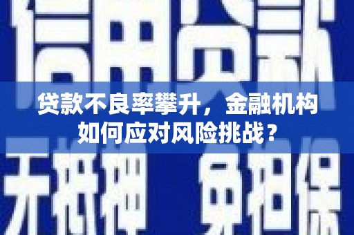 耀州贷款不良率攀升，金融机构如何应对风险挑战？