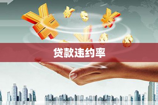 耀州贷款违约率