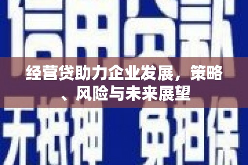 耀州经营贷助力企业发展，策略、风险与未来展望