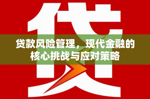 耀州贷款风险管理，现代金融的核心挑战与应对策略