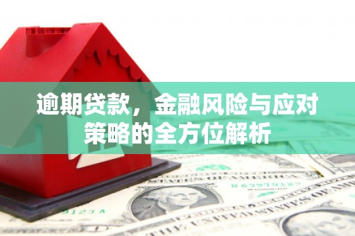 耀州逾期贷款，金融风险与应对策略的全方位解析