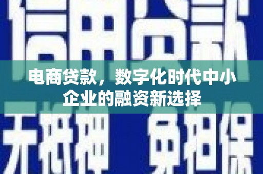 耀州电商贷款，数字化时代中小企业的融资新选择