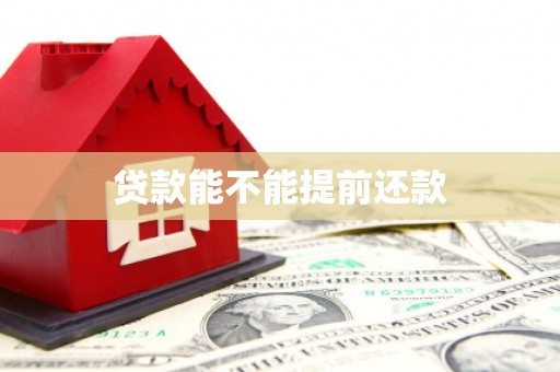 耀州贷款能不能提前还款