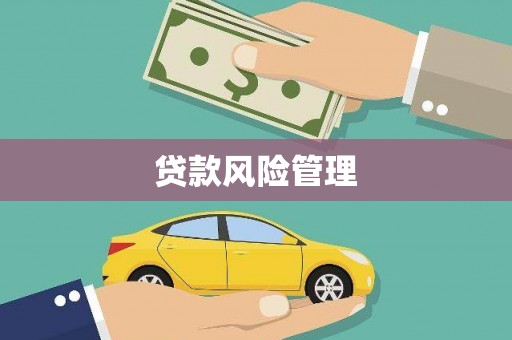 耀州贷款风险管理