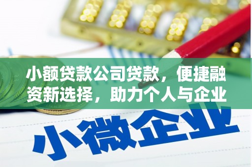 耀州小额贷款公司贷款，便捷融资新选择，助力个人与企业成长