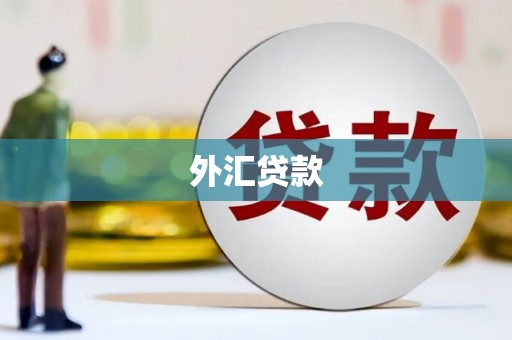 耀州外汇贷款
