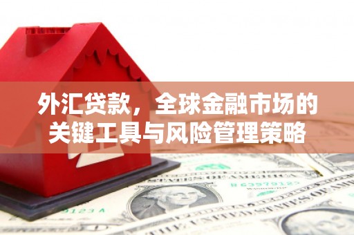 耀州外汇贷款，全球金融市场的关键工具与风险管理策略