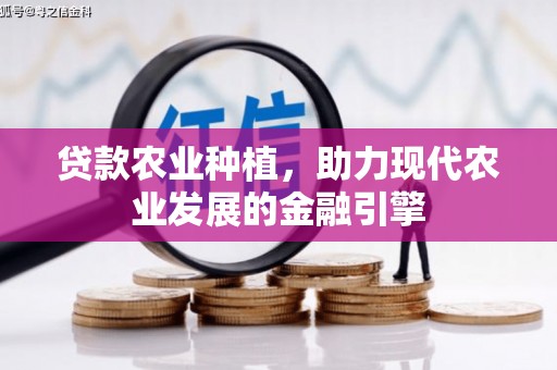 耀州贷款农业种植，助力现代农业发展的金融引擎