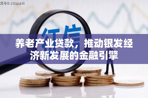 耀州养老产业贷款，推动银发经济新发展的金融引擎