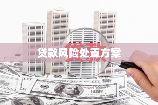 耀州贷款风险处置方案