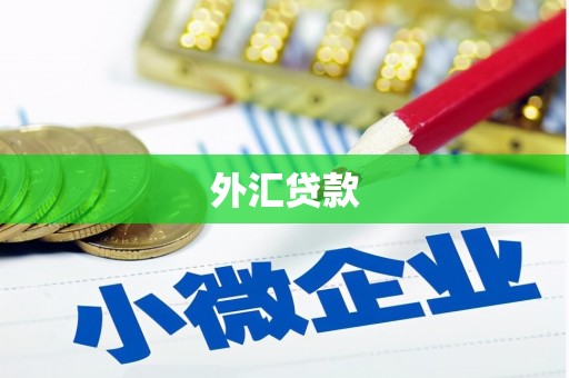 耀州外汇贷款