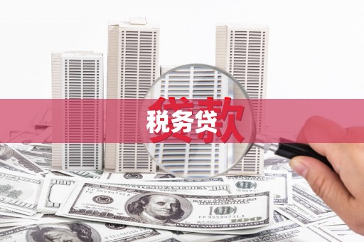 耀州税务贷
